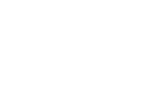 insight1.png