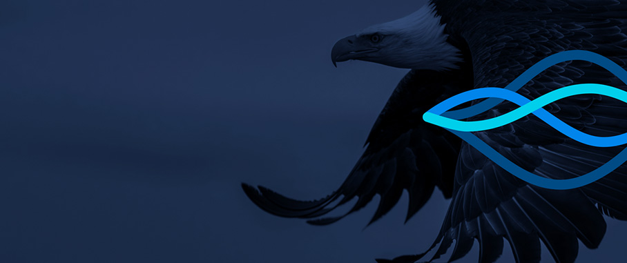 Global Market Outlook Midyear update: How central bank policy could impact your portfolio
