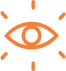 IRMsight