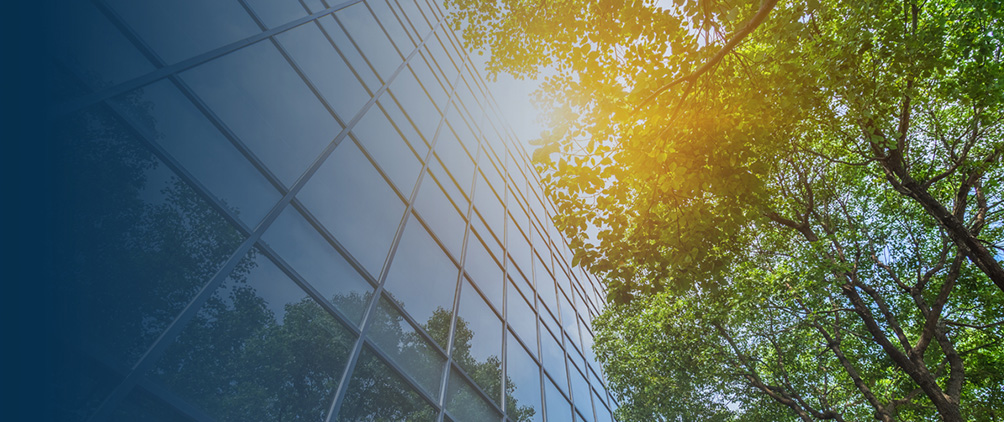 U.S. Commercial Real Estate Chartbook November 2024 