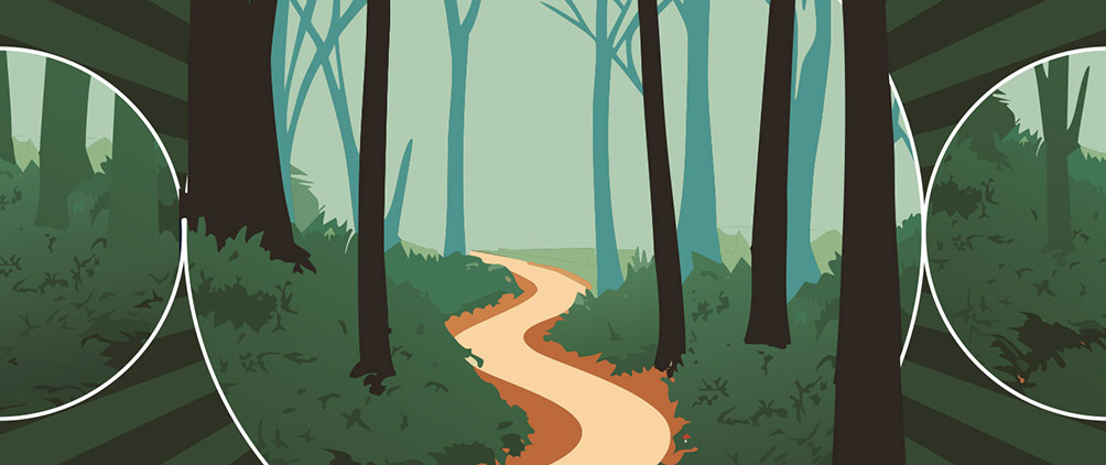 Fixed income: Traversing a Trump 2.0 terrain