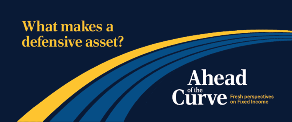 What makes a defensive Asset? 