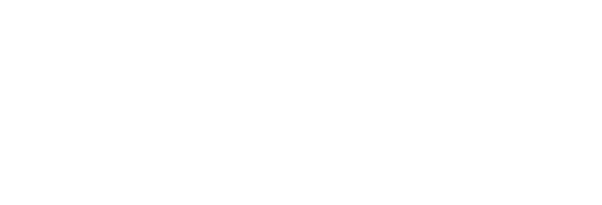 State Street Investment Management logo
