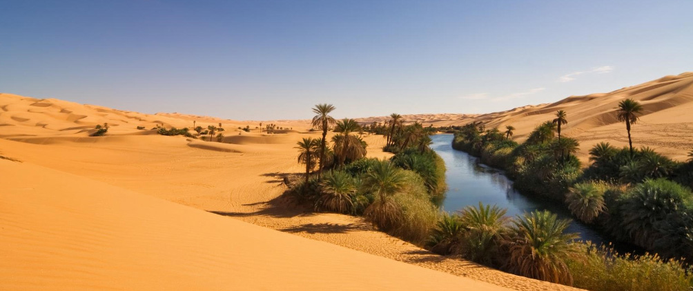 Secondaries: An Oasis in a Desert of Illiquidity