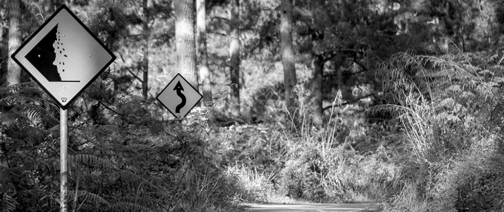 From Caution to Opportunity: The Evolving Investment Landscape for Medical Liability Insurers