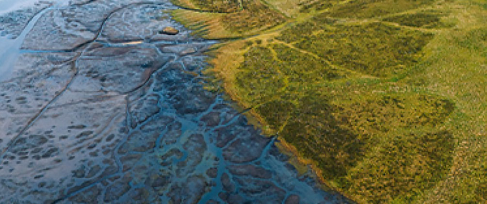 MorganStanleyFeatured