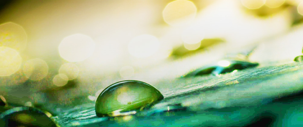 2026 Multi-Asset Outlook: Back to Micro