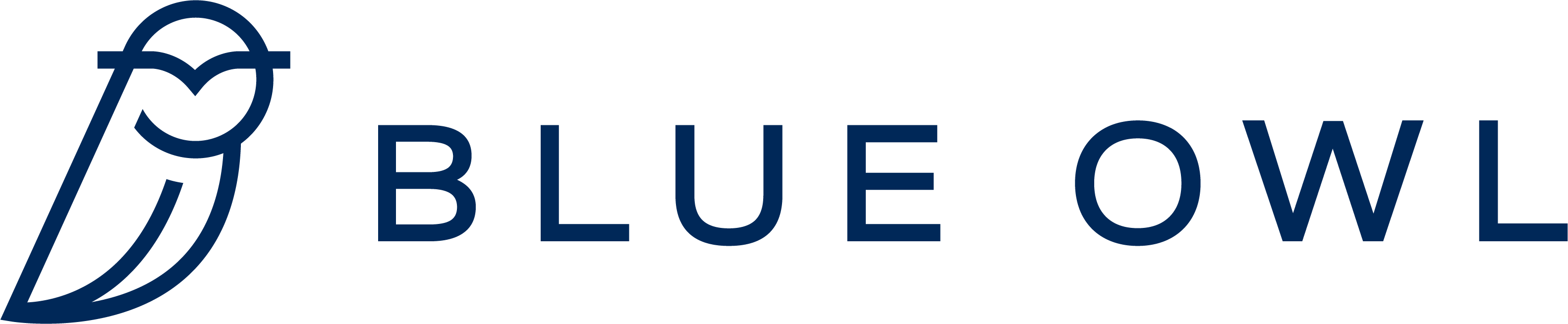 Blue_Owl_h_rgb_Blue_Owl_Blue