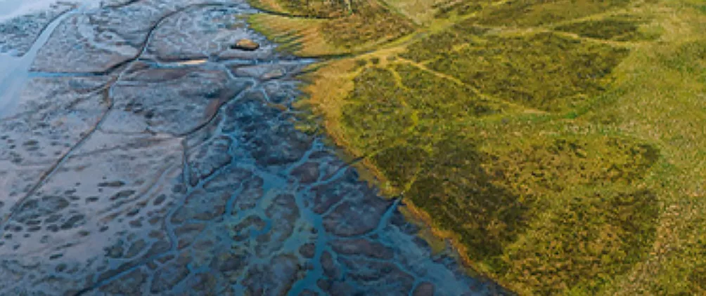 MorganStanleyFeatured